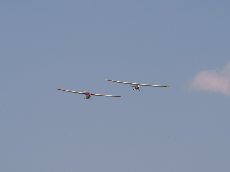 DSC1769