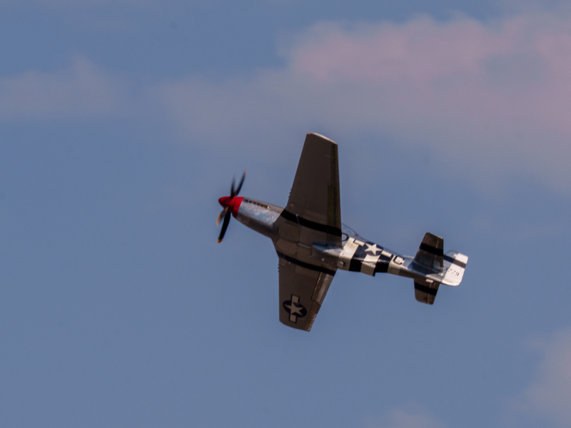 DSC1930
