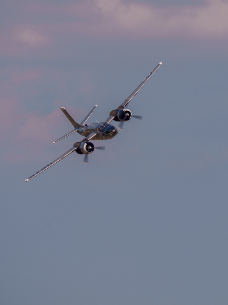 DSC1974