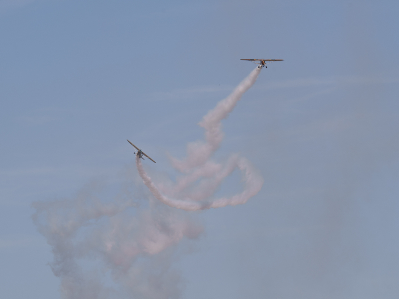 DSC1991