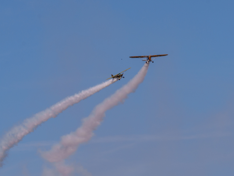 DSC1994