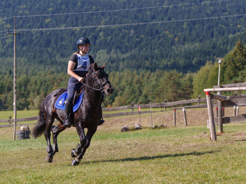 DSC2936