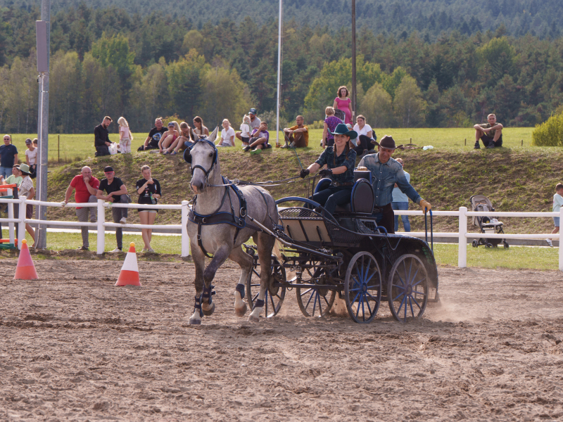 DSC4450