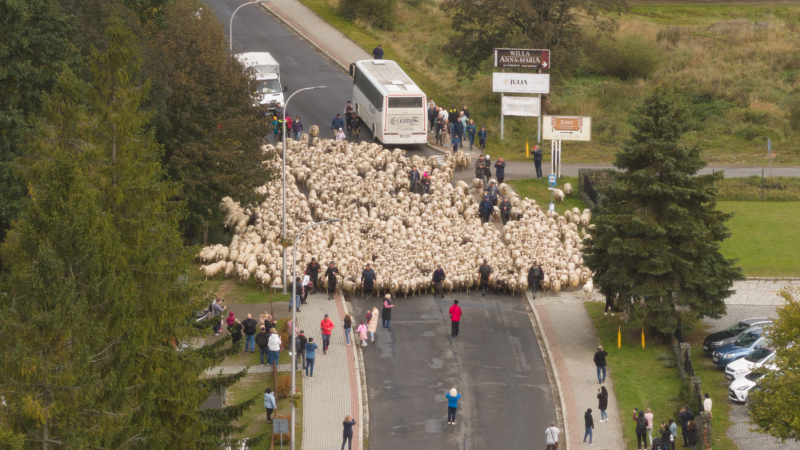 redyk przechodzący przez Wysową na zdjeciu z drona