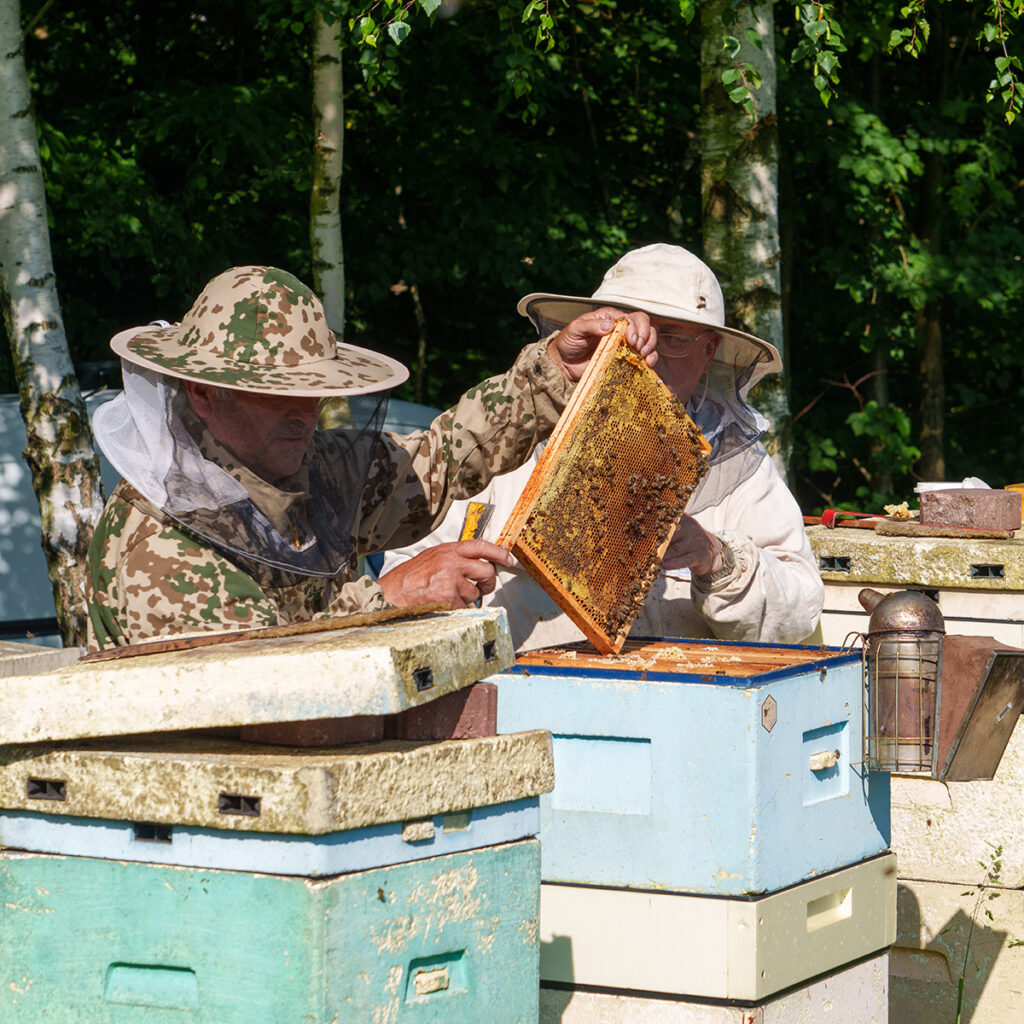 fotografia z targow pszczelarskich