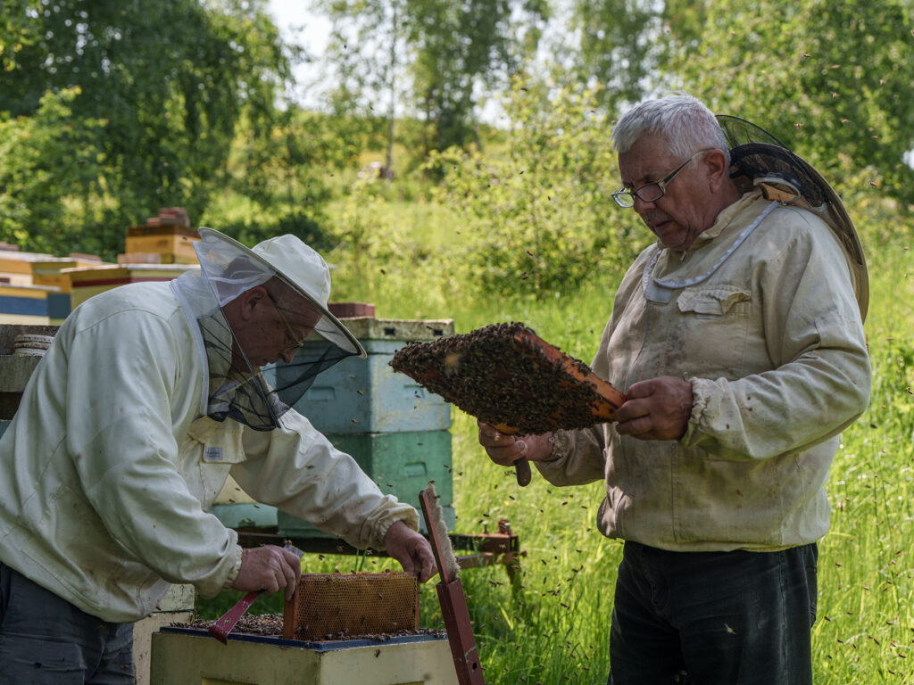 szkolenie pszczelarzy