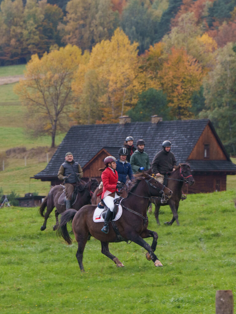 fotorelacja z dnia koniarza w regietowie - poscig za lisem